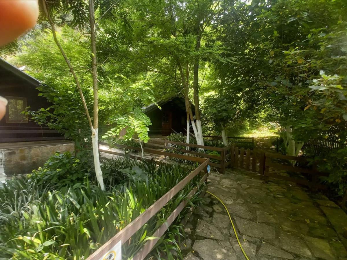 Villa Syri Kalter ซารานเดอ ภายนอก รูปภาพ